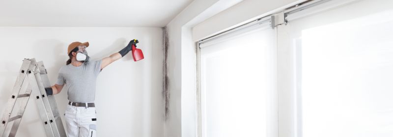 Attic Mold Remediation in Broward County, FL