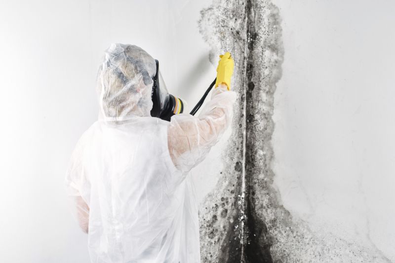 Attic Mold Removal in Boca Raton, FL