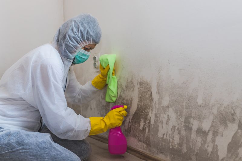 Basement Mold Removal in Bergen County, NJ