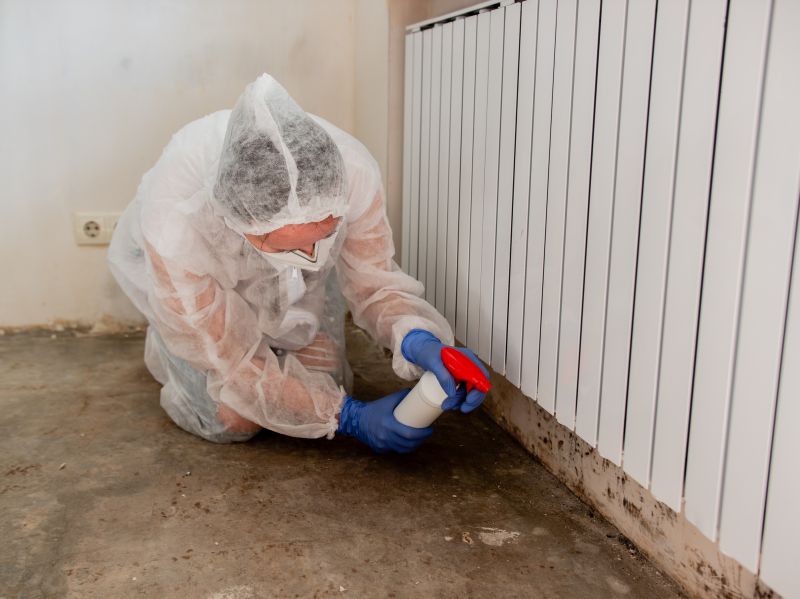 Black Mold Remediation in Jupiter, FL