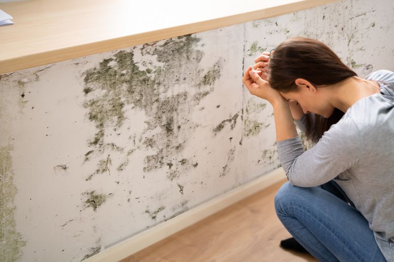 Crawlspace Mold Remediation in Fort Worth, TX