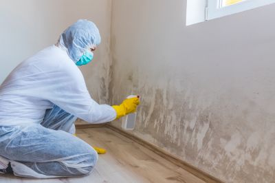 Garage Mold Remediation in Boca Raton, FL