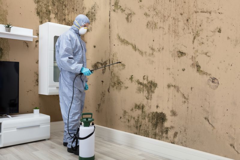 Mold Abatement in Plano, TX