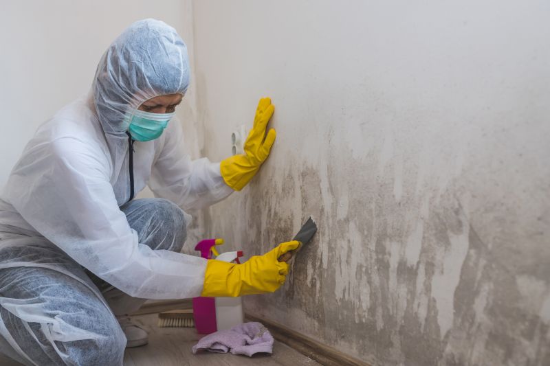 Mold Remediation Service in Broward County, FL