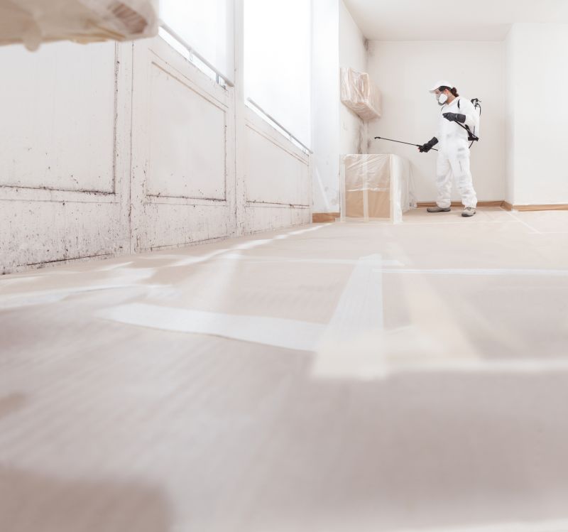Attic Mold Remediation in Jupiter, FL