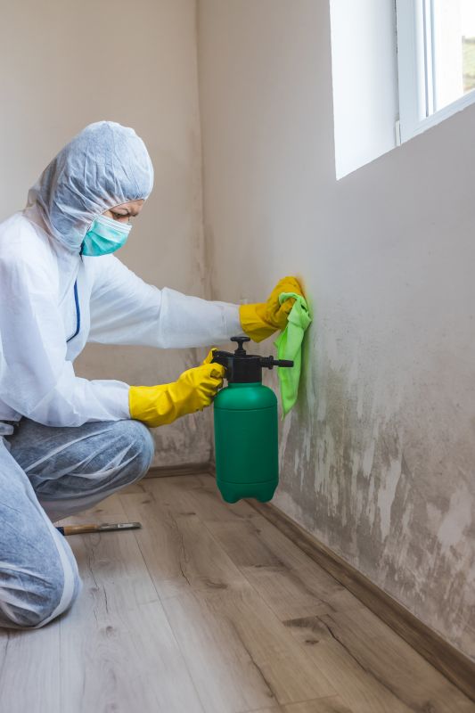 Mold Restoration in Broward County, FL